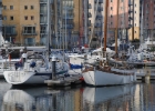 DSC_2694.JPG
