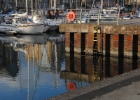 DSC_2709.JPG
